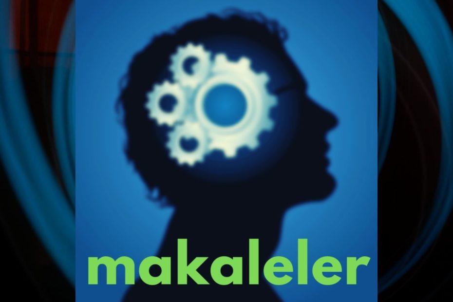 makaleler kapak görseli