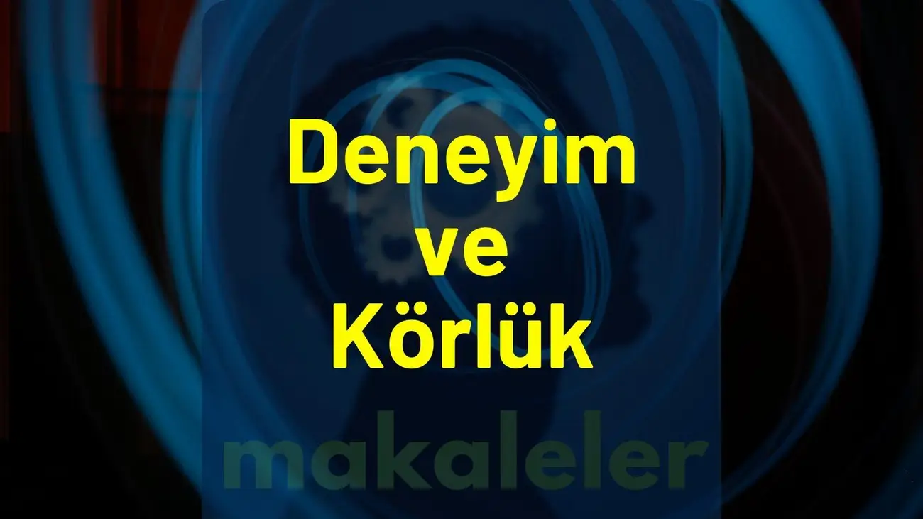 Deneyim-ve-Körlüğü-kapak-görseli
