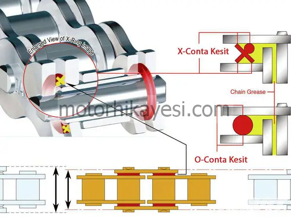 O-ring-ve-X-ring-zincir-yapı-kesit